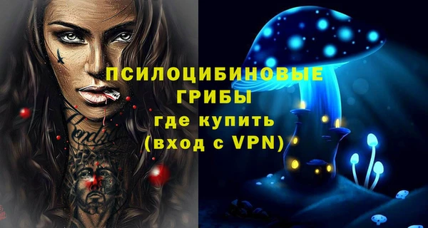 гидра Алексеевка