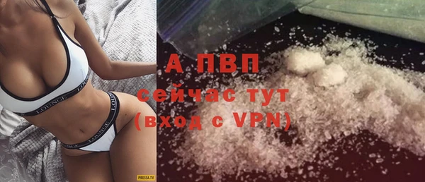 гидра Алексеевка
