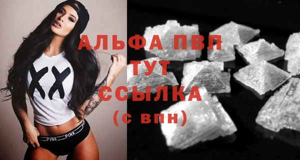 гидра Алексеевка