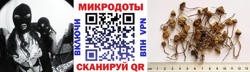 Псилоцибиновые грибы прущие грибы  как найти закладки  Кизилюрт 